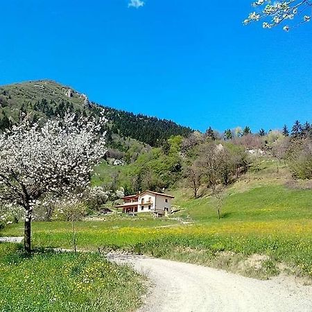 Agriturismo Bianconiglio Zone Exterior photo