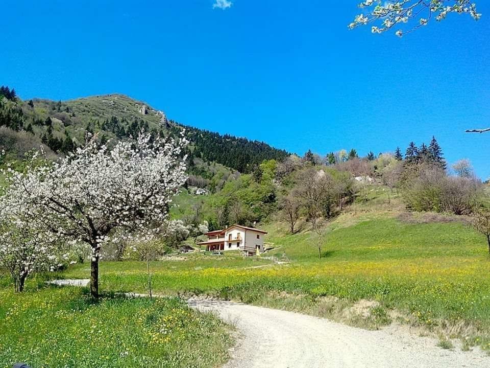 Agriturismo Bianconiglio Zone Exterior photo