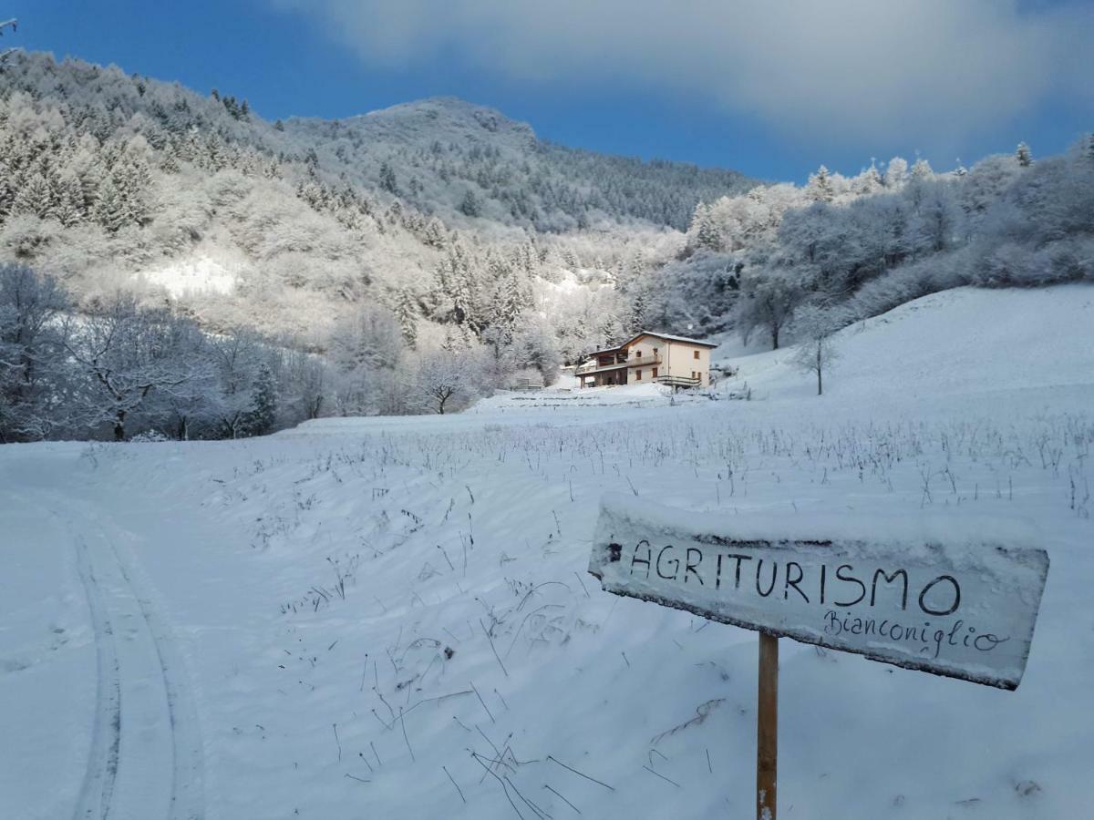 Agriturismo Bianconiglio Zone Exterior photo